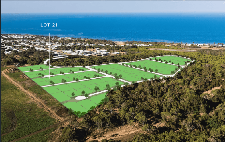 Lot 21