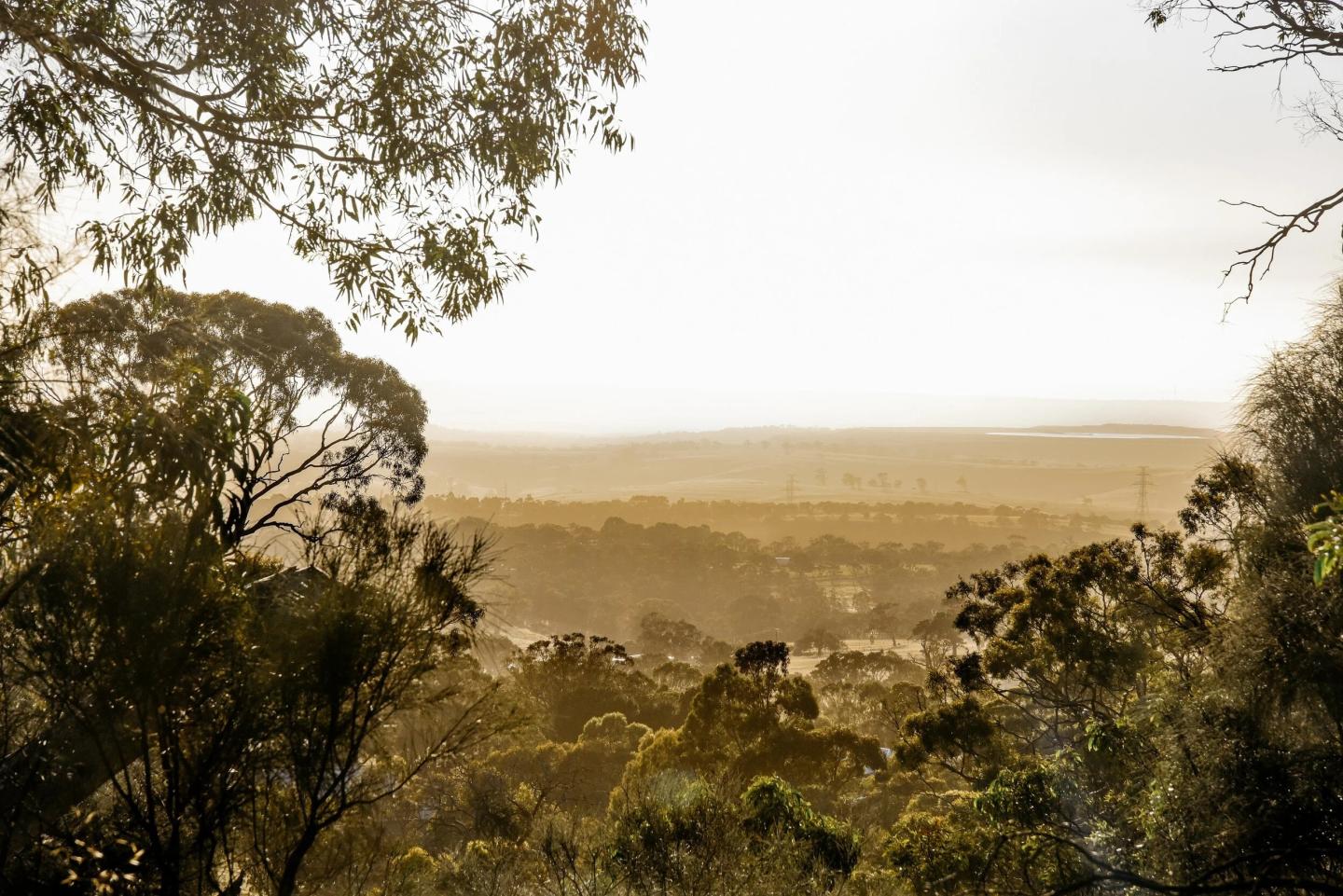 Emerald Way Estate - Mount Barker Emerald Way Estate - Mount Barker