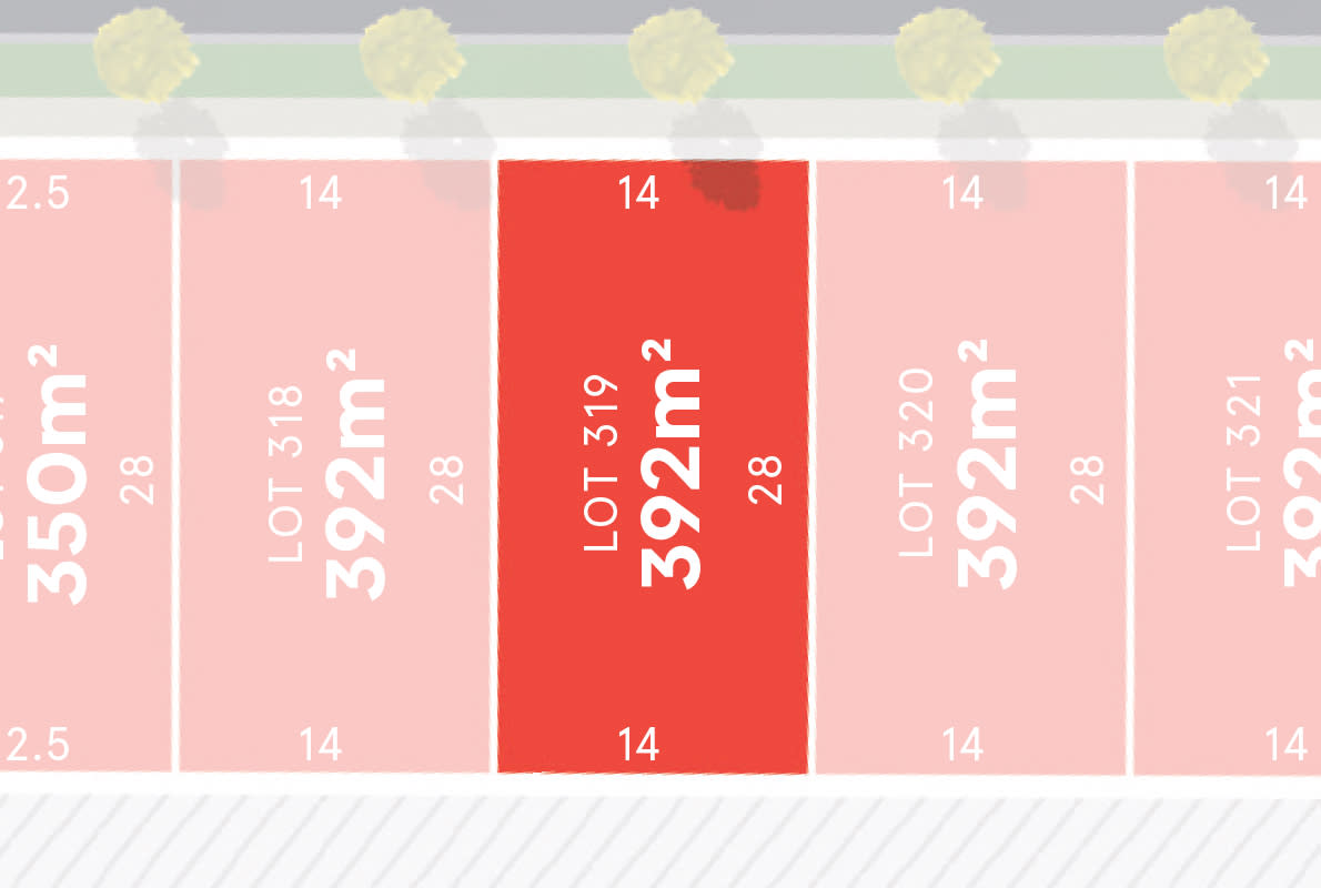 Lot 319