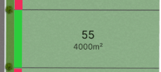 Lot 55