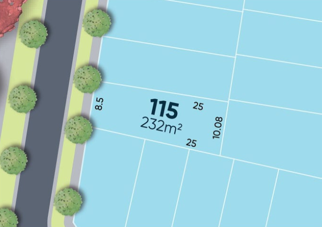 Lot 115