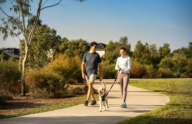 Suburb Property Profile: Cobblebank, VIC 3338