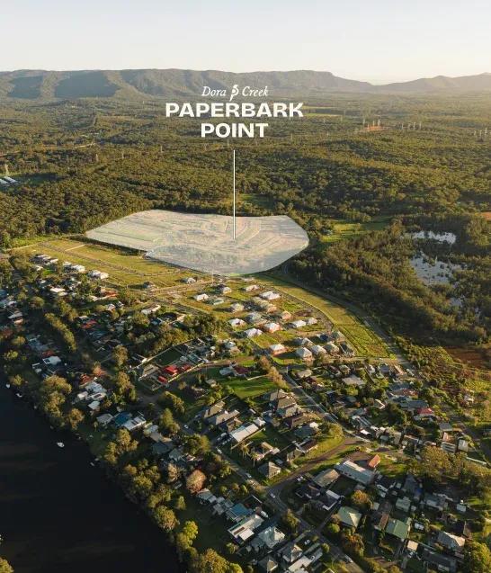 Paperbark Point