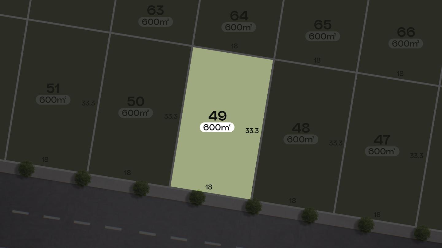 Lot 49