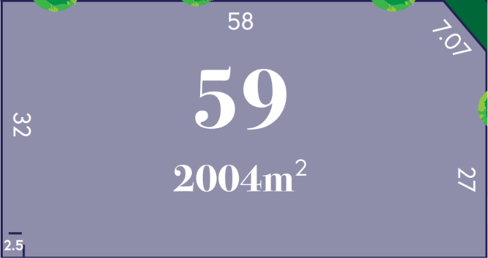 LOT 59