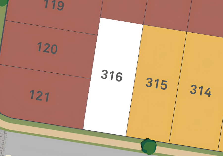 Lot 316