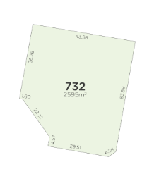 Lot 732