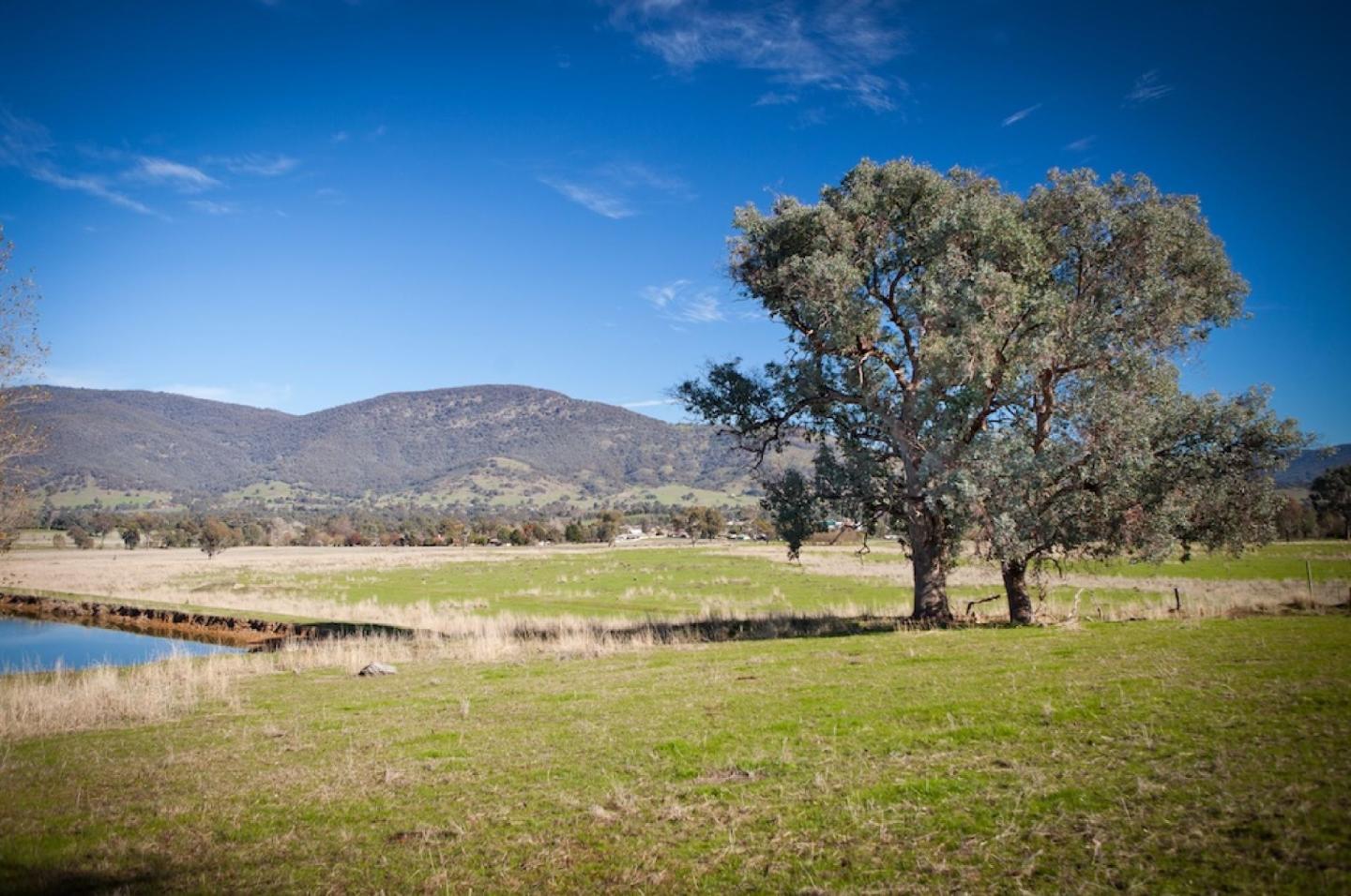 Kiewa Valley Estate - Tangambalanga