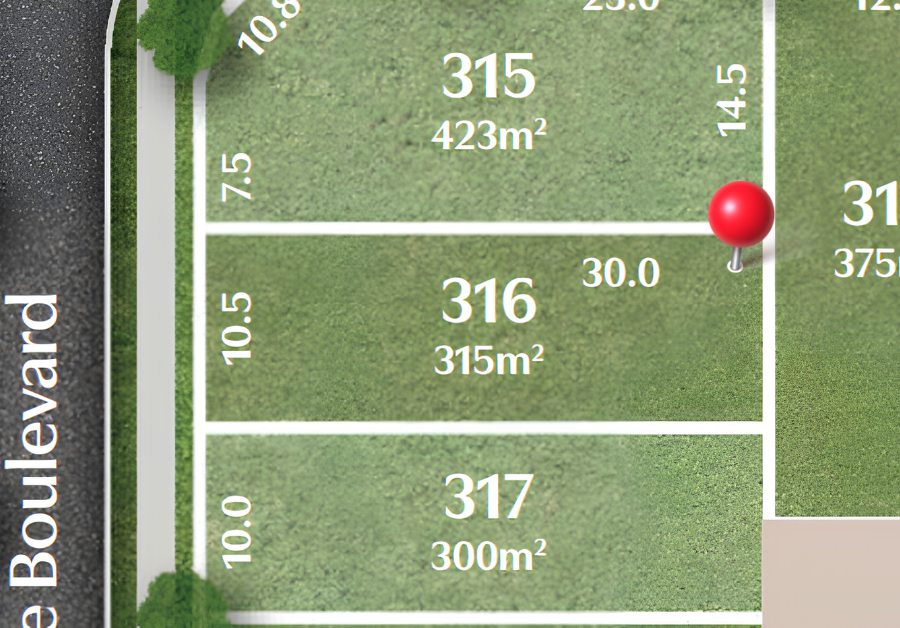 Lot 316