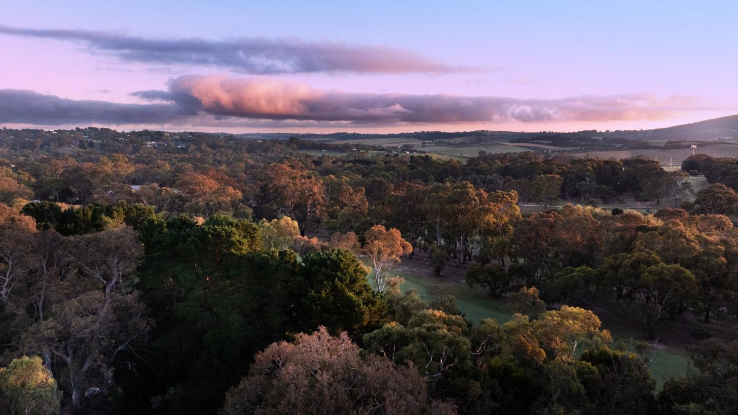Nadair Estate - Mount Barker