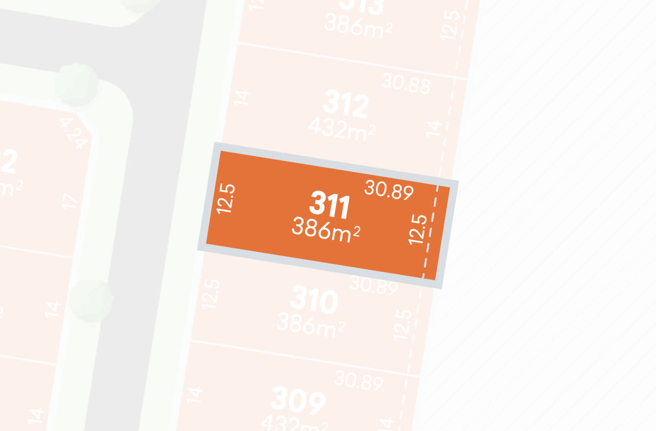 Lot 311