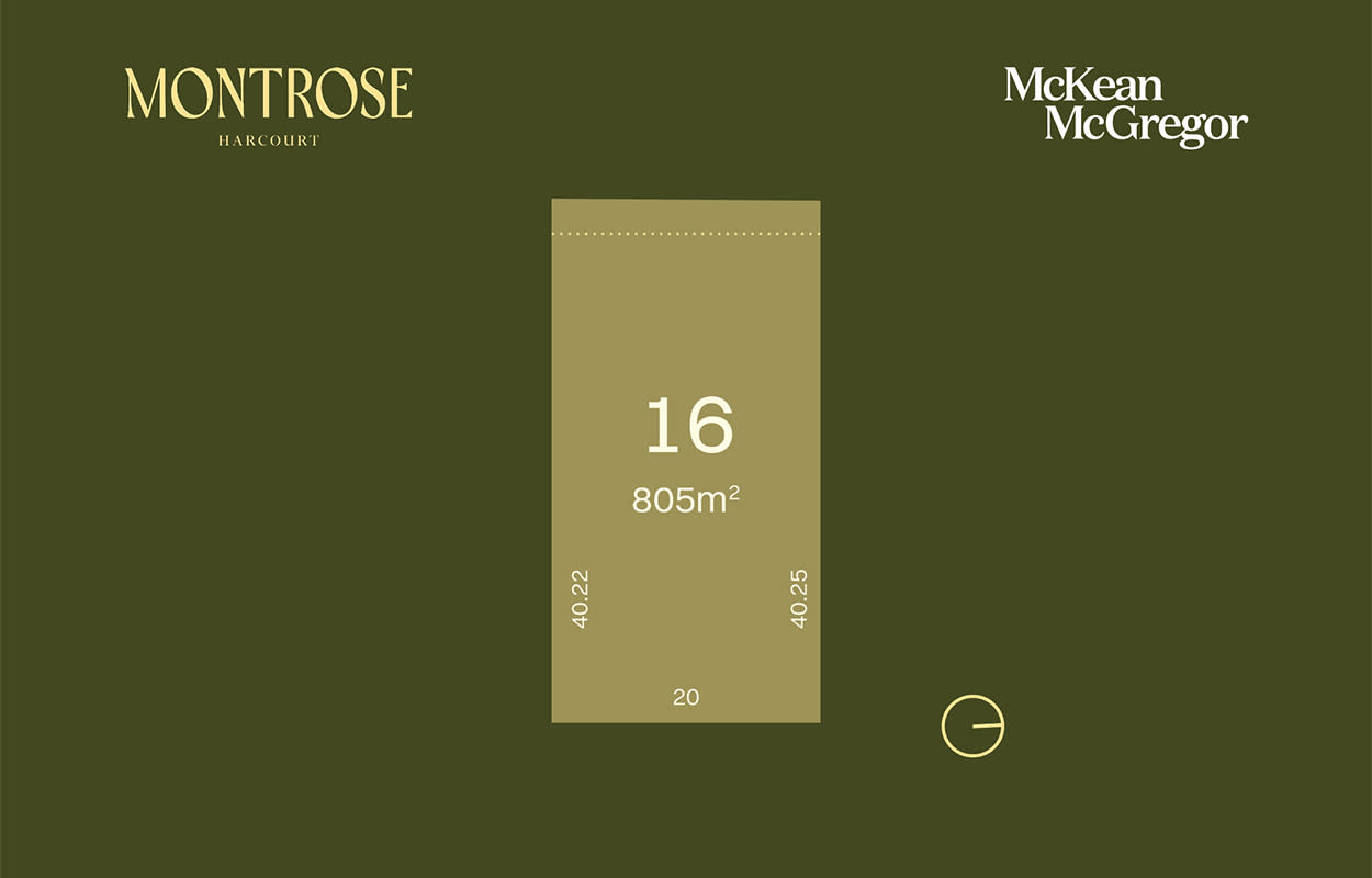 Lot 16