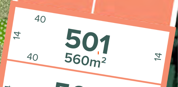 LOT 501