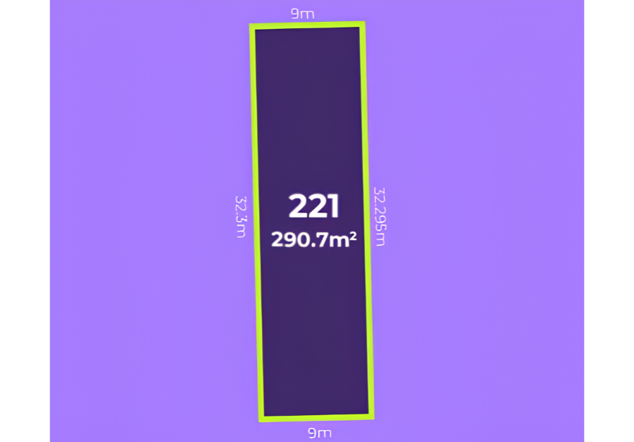 Lot 221