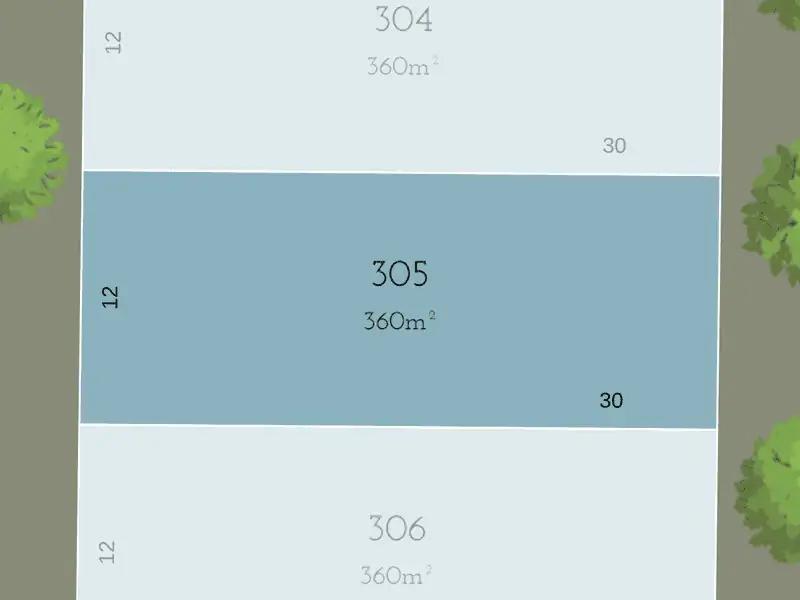 LOT 305