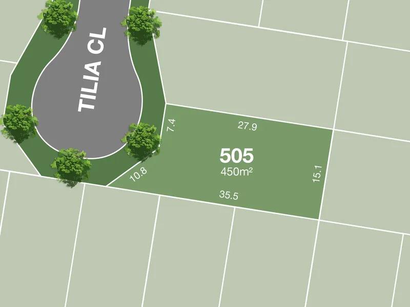 Lot 505