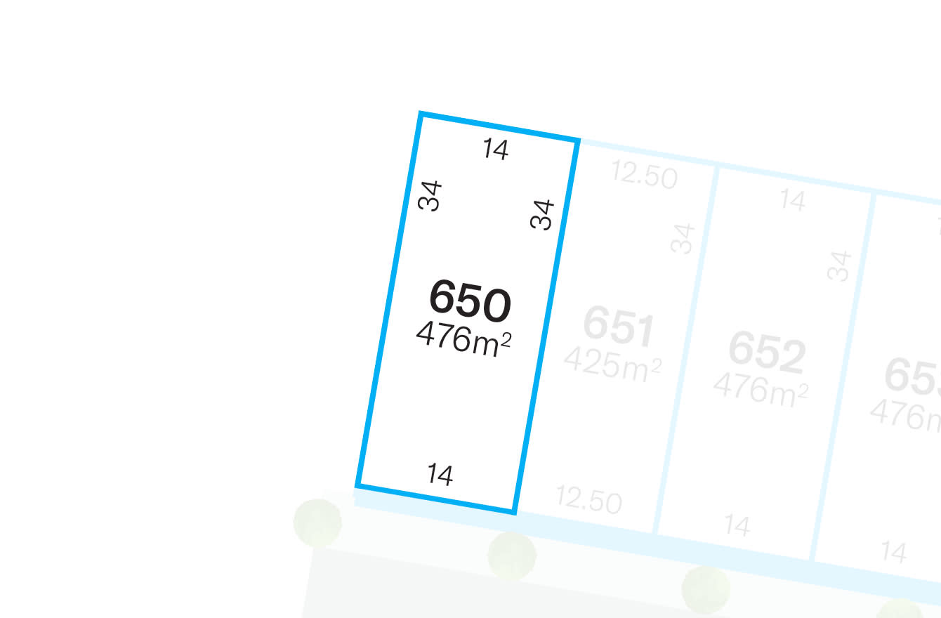Lot 650