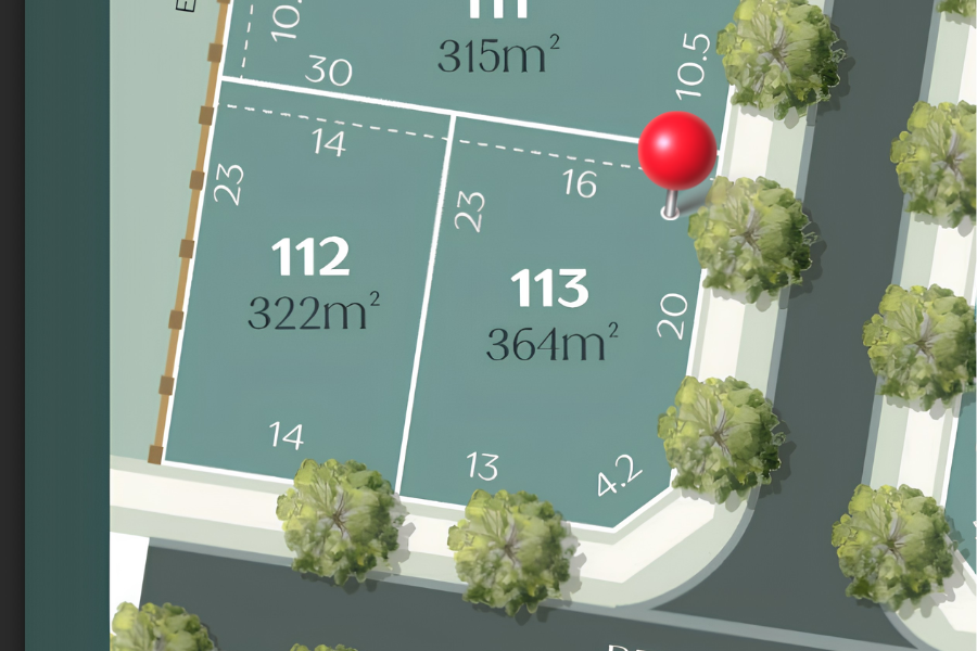Lot 113