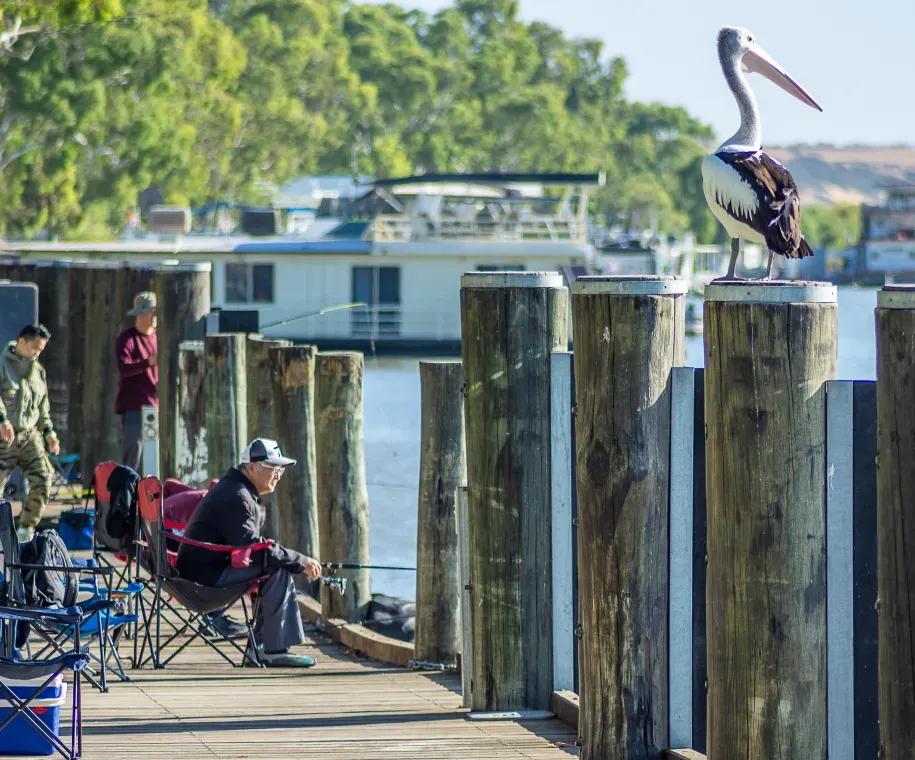 Mannum Waters Estate - Mannum