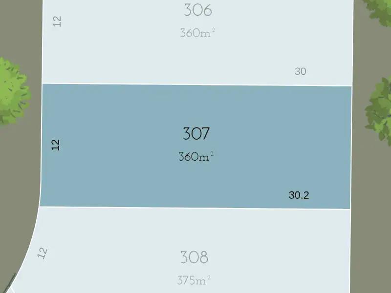 Lot 307