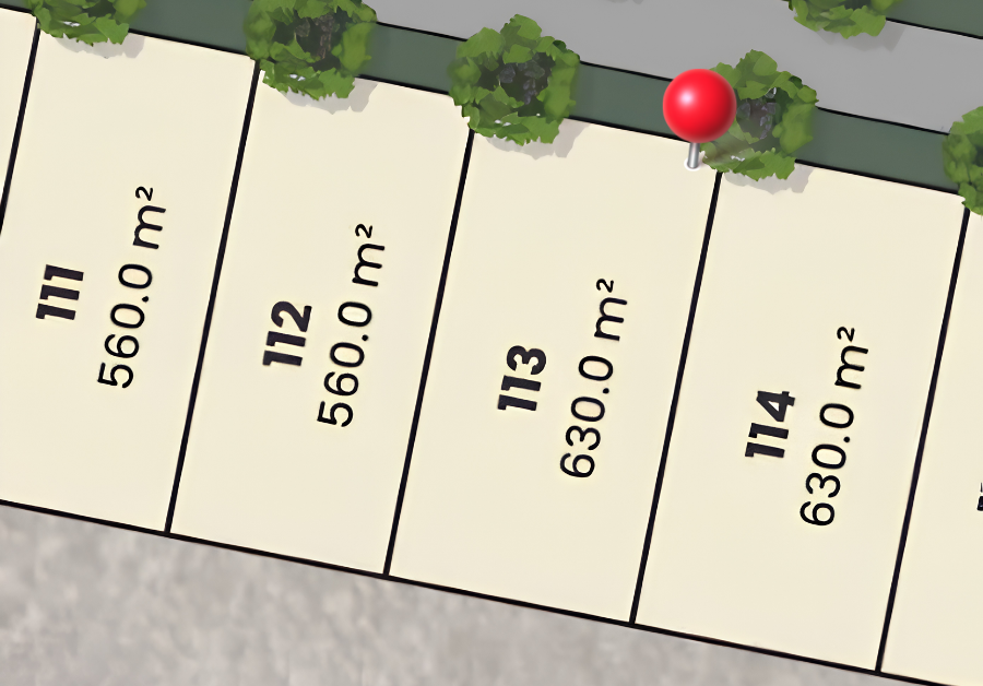 Lot 113