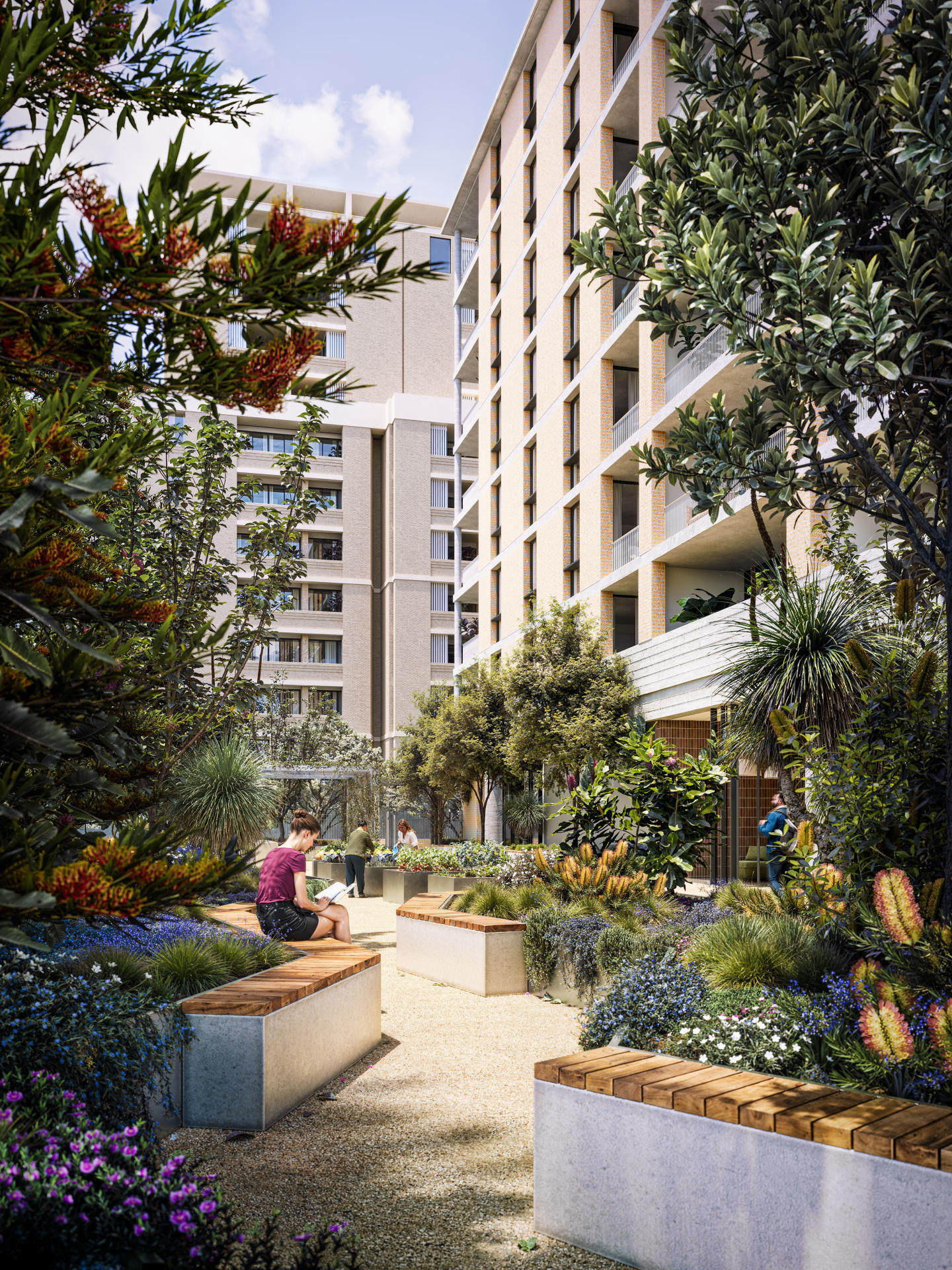 The Avenues, Zetland