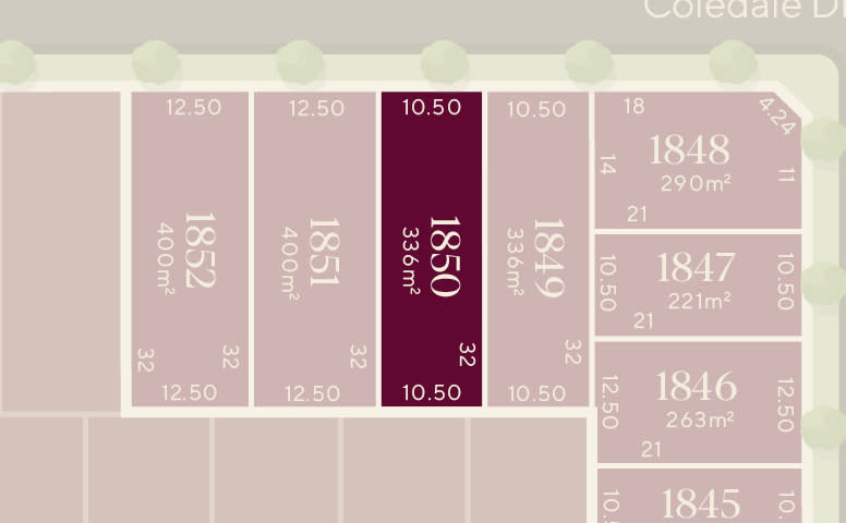 Lot 1850