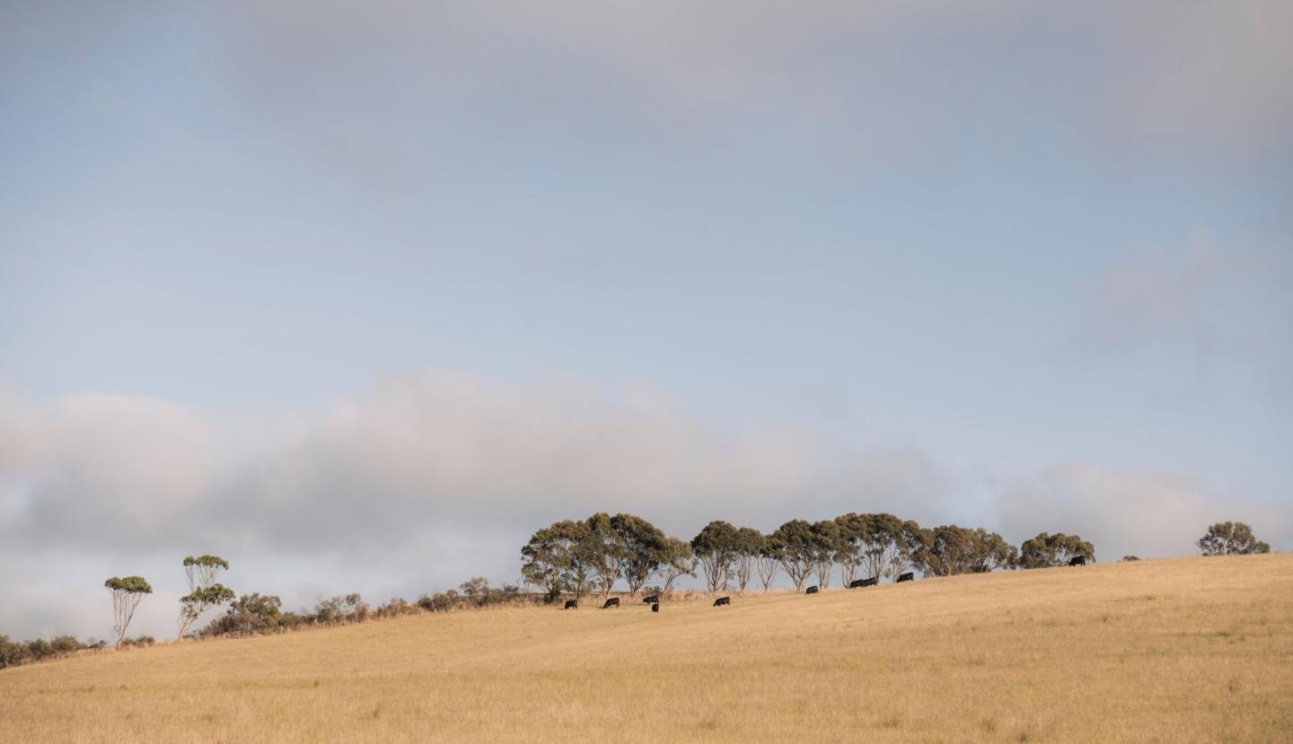 Flinders View Drysdale Flinders View Drysdale
