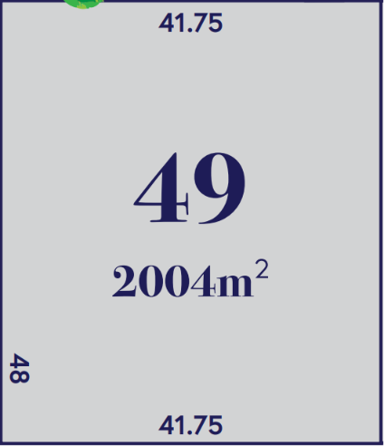 LOT 49