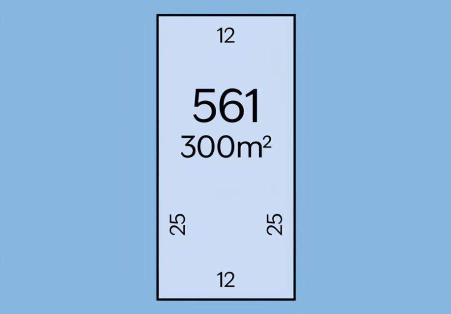 Lot 561