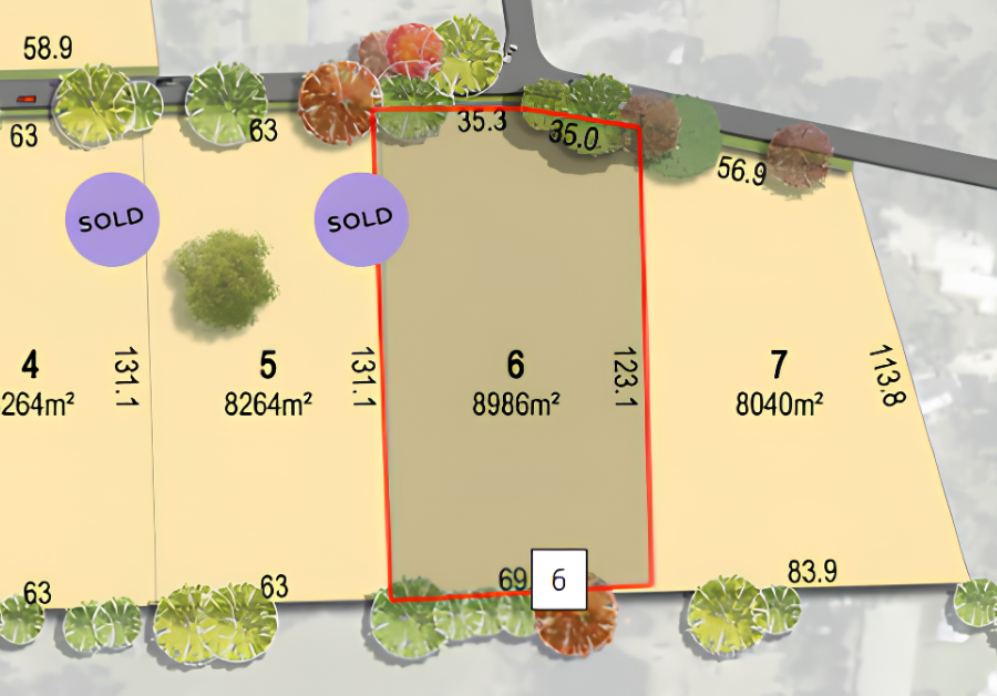 Lot 6