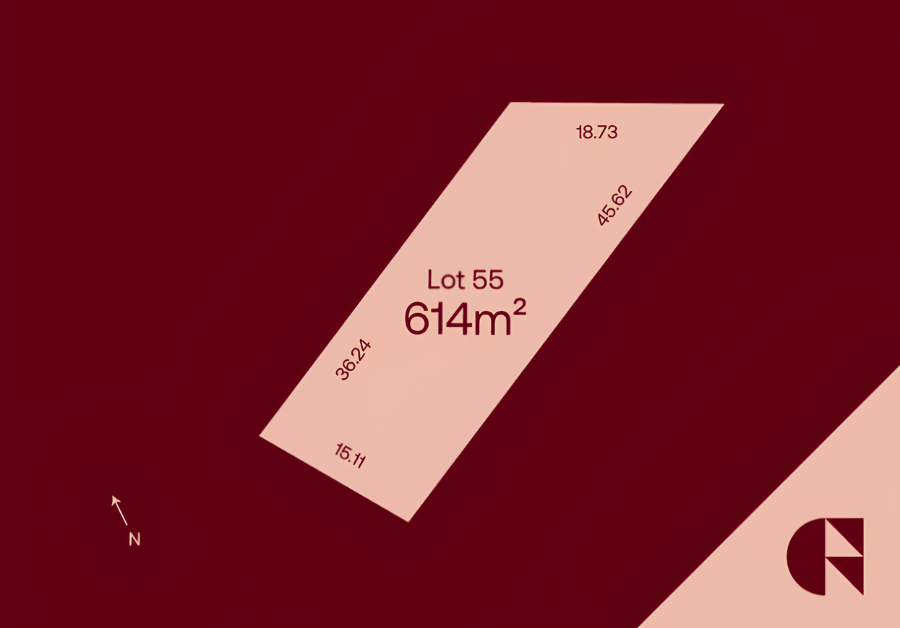 Lot 55