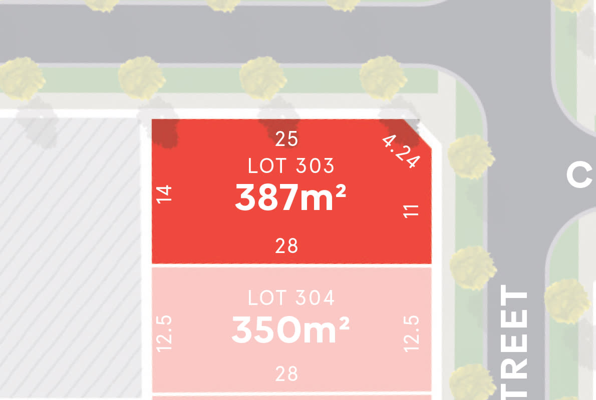Lot 303