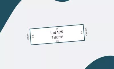 Lot 175