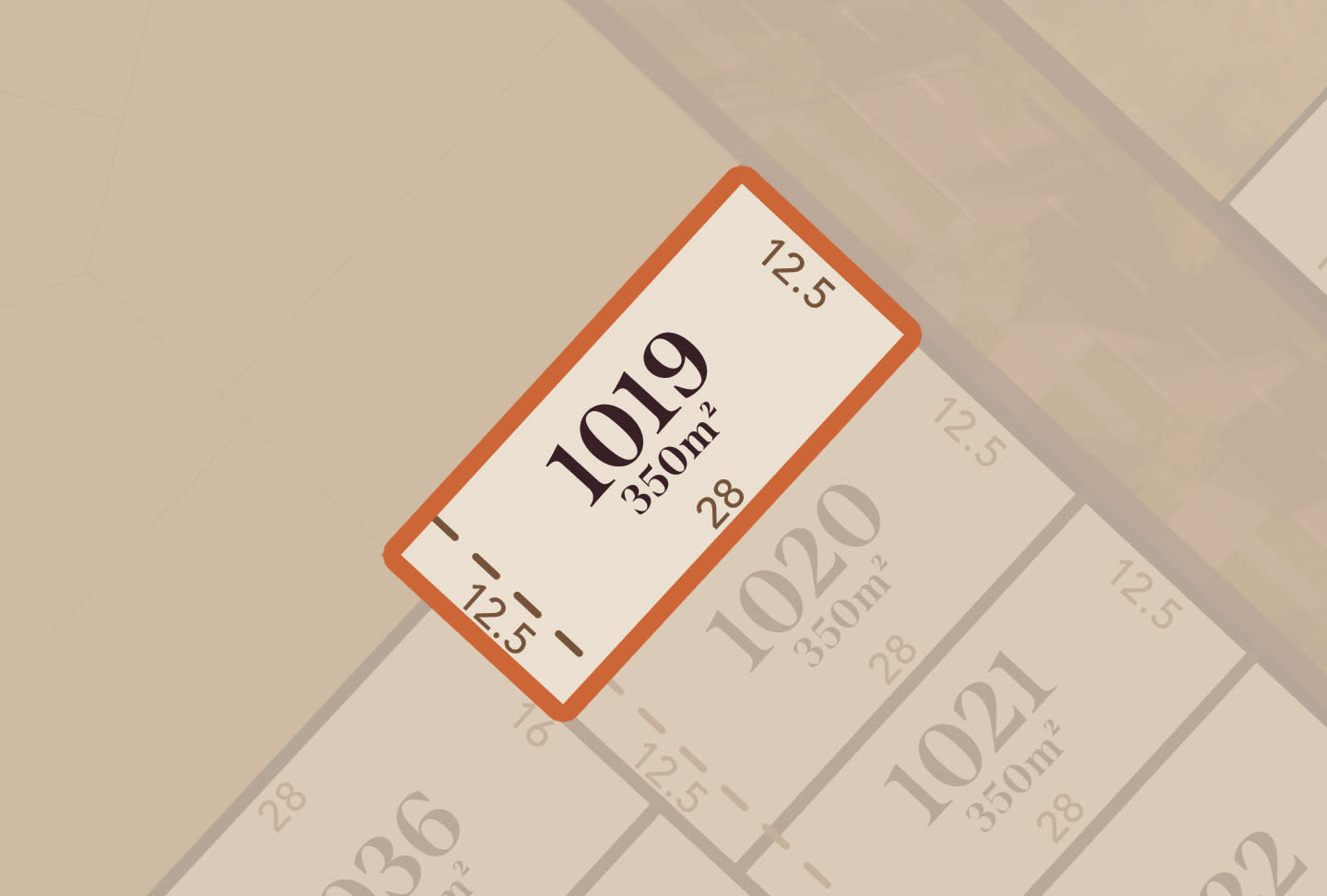 Lot 1019