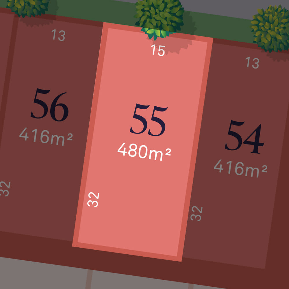 Lot 55