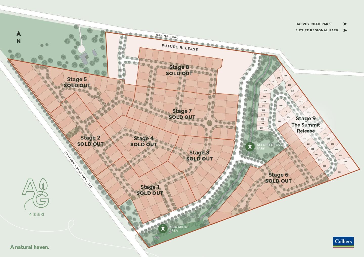 Lot 251 (Stage 9)