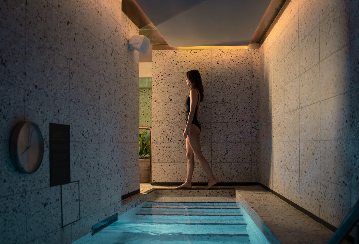 Jardin House by Lowe Living, Camberwell Jardin House by Lowe Living, Camberwell