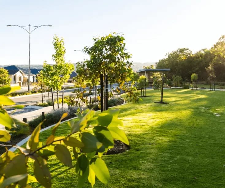 Taylor Springs Mundijong