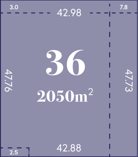 LOT 36