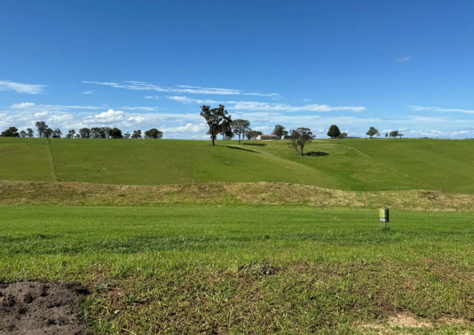Lot 53