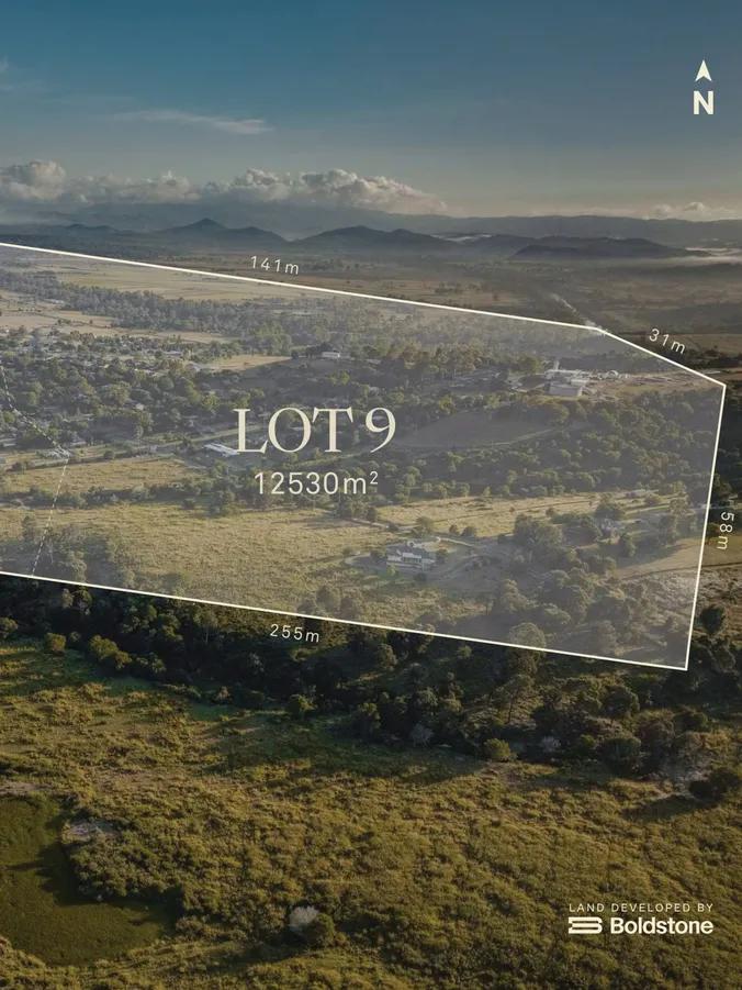 Lot 9