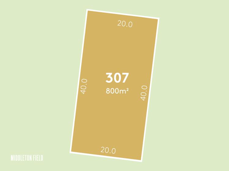 LOT 307