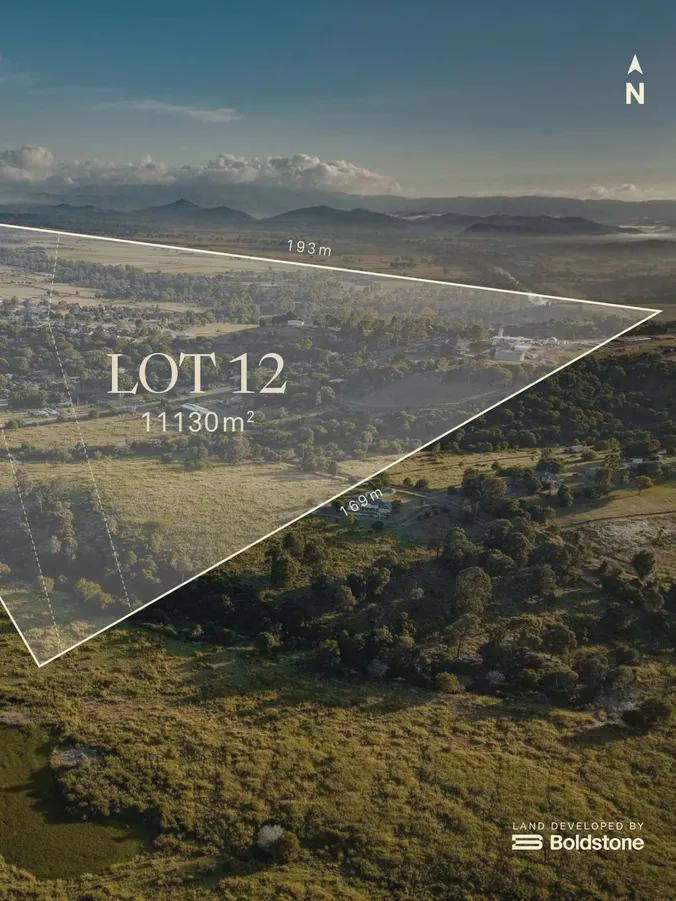 Lot 12