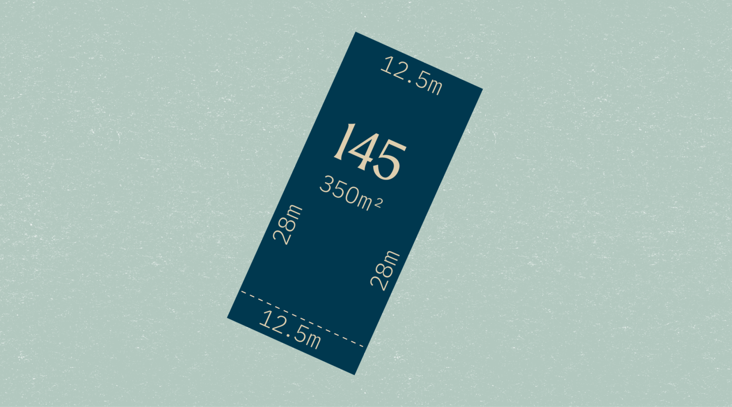 Lot 145