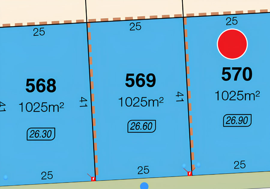 Lot 569