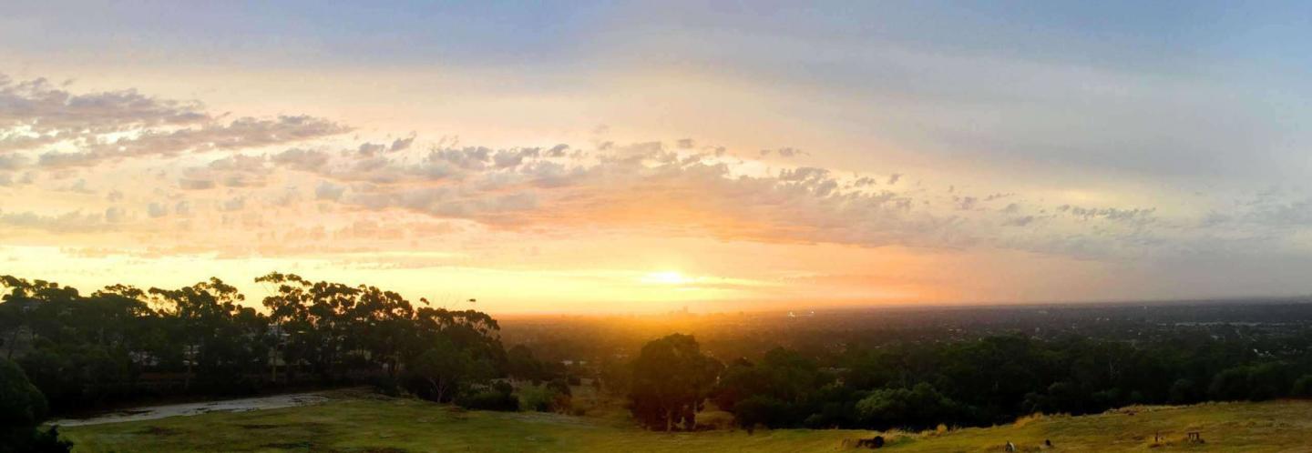Suburb Property Profile: Woodforde, SA 5072