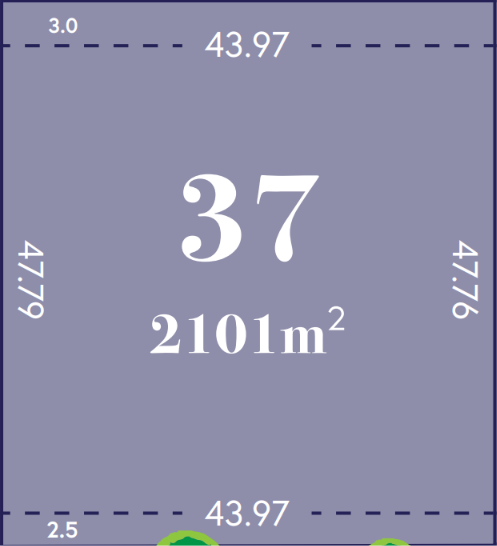 LOT 37