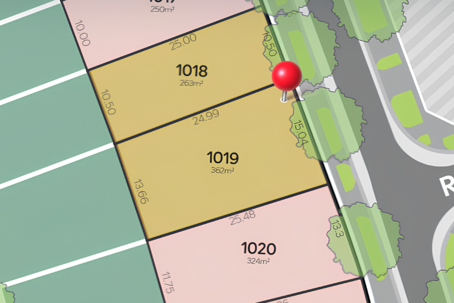 Lot 1019