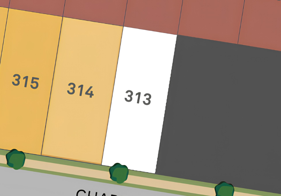 Lot 315